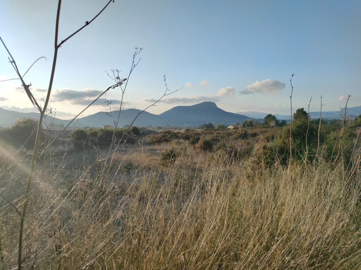 Mark till salu i Aspe - 24 630 € (Ref: 6641364)