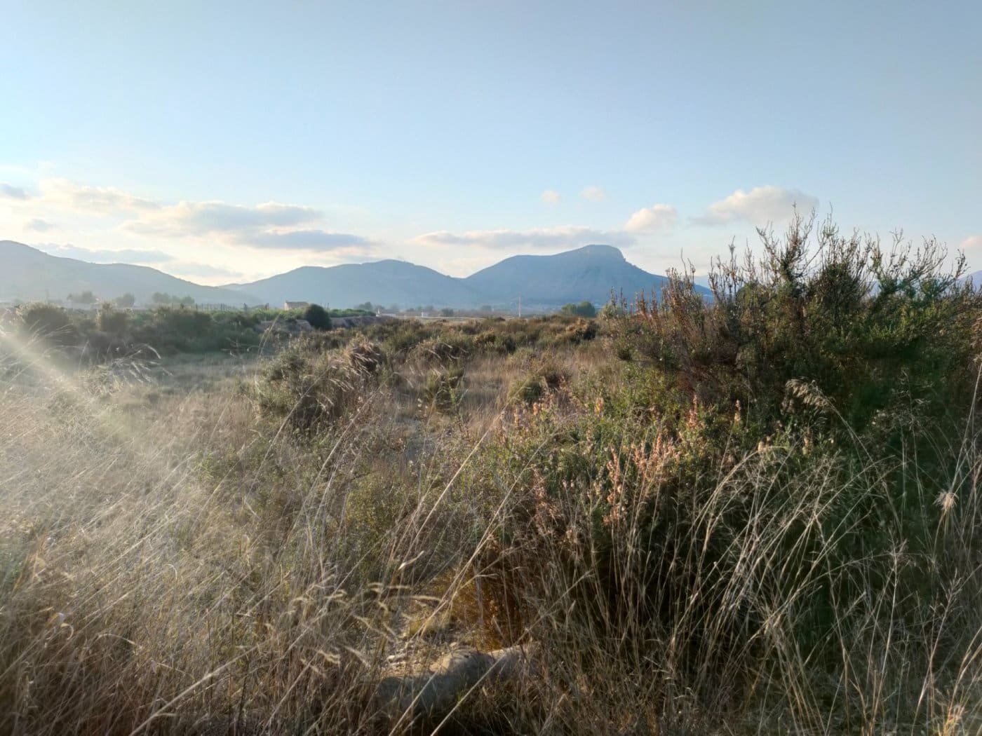 Mark till salu i Aspe - 24 630 € (Ref: 6641364)