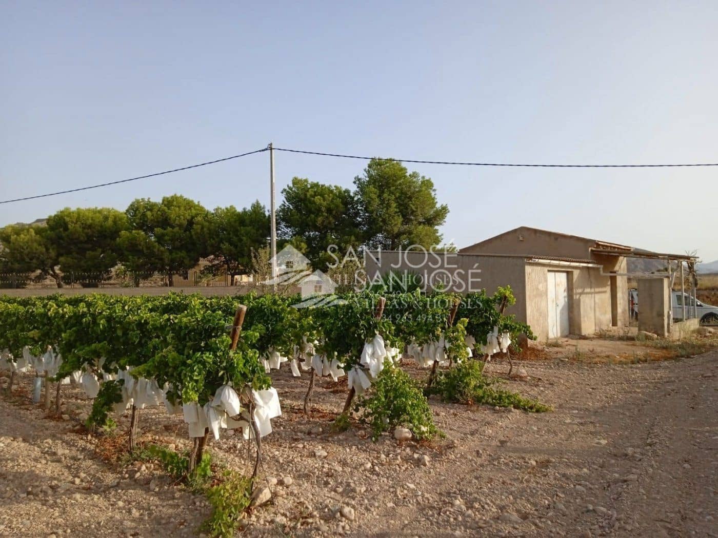 Landgrundstück zu verkaufen in Novelda - 74.840 € (Ref: 7049516)