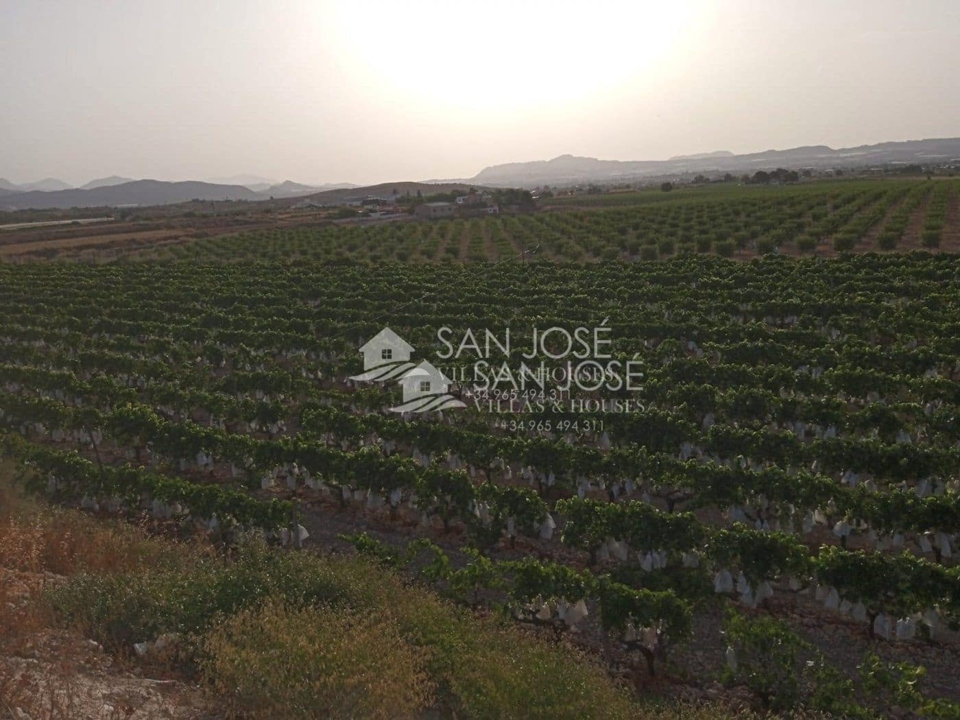 Landgrundstück zu verkaufen in Novelda - 74.840 € (Ref: 7049516)