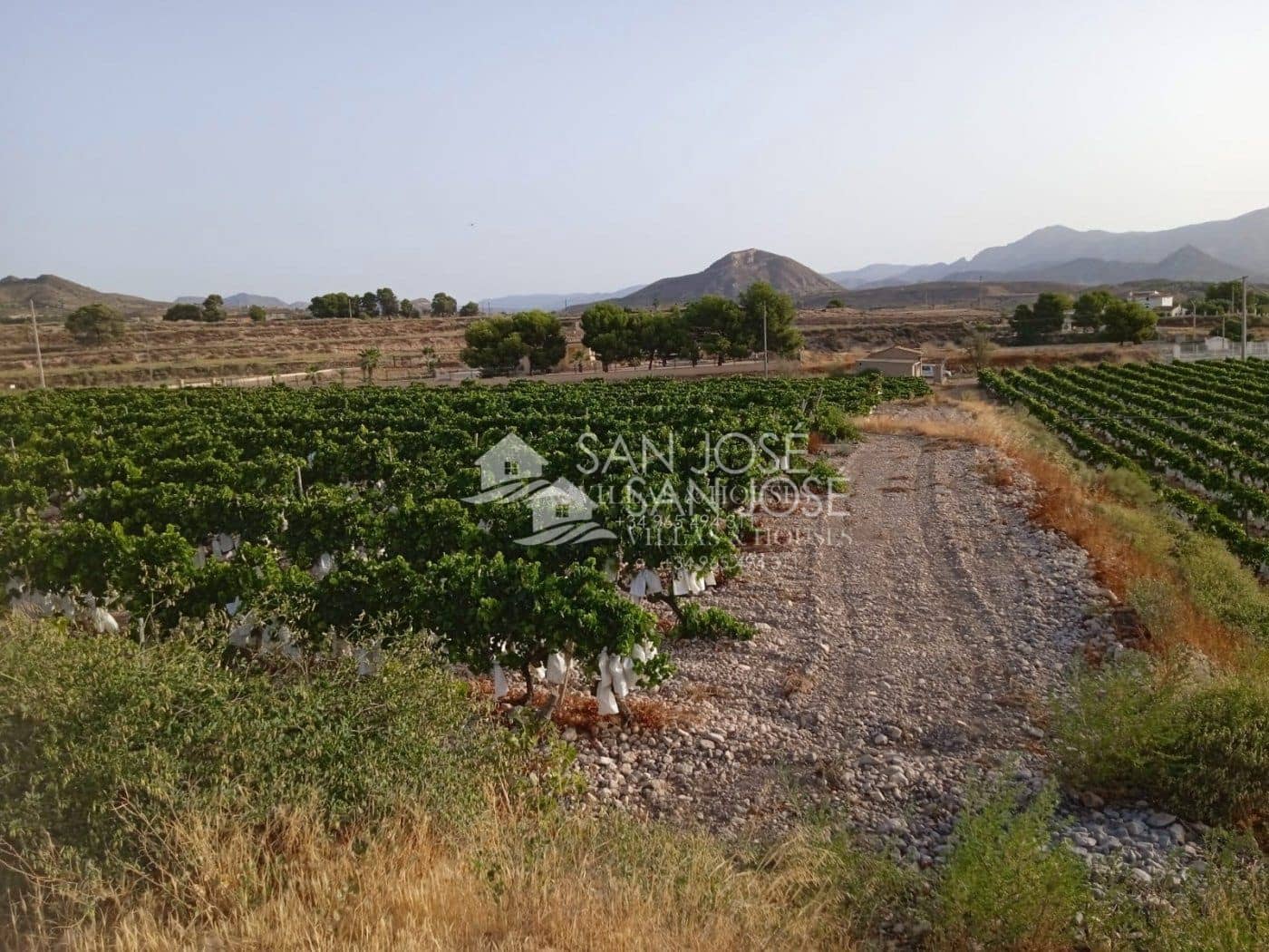 Landgrundstück zu verkaufen in Novelda - 74.840 € (Ref: 7049516)