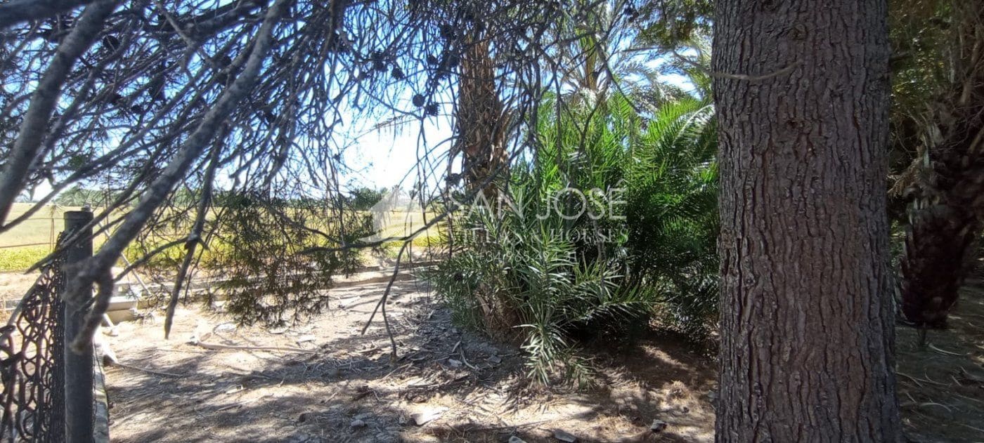 5 soveværelse Villa til salg i San Felipe Neri - € 1.050.001 (Ref: 7088940)