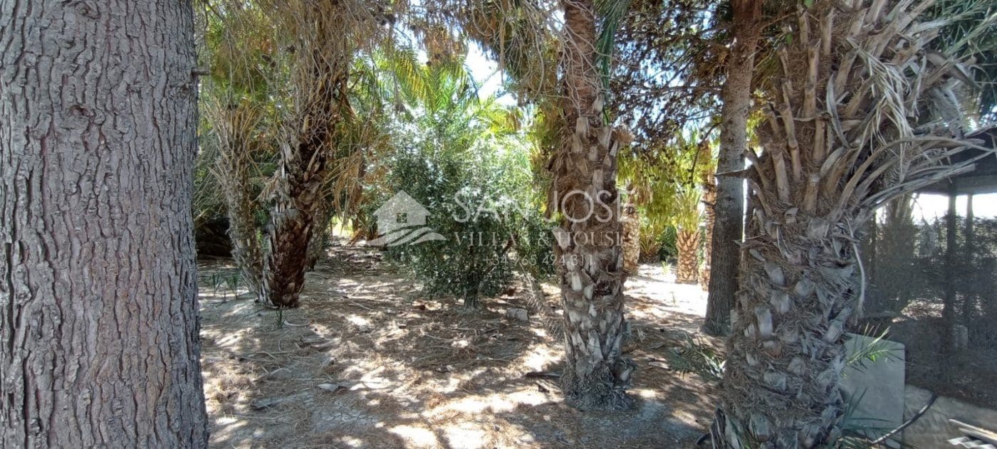 5 soveværelse Villa til salg i San Felipe Neri - € 1.050.001 (Ref: 7088940)