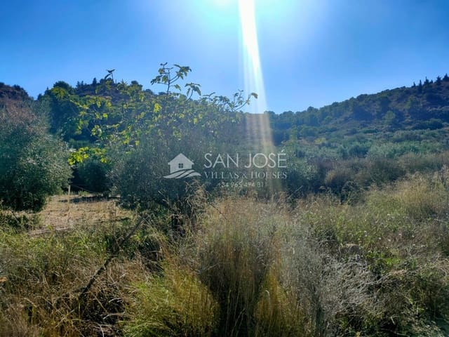 Mark till salu i Aspe - 33 630 € (Ref: 7174422)