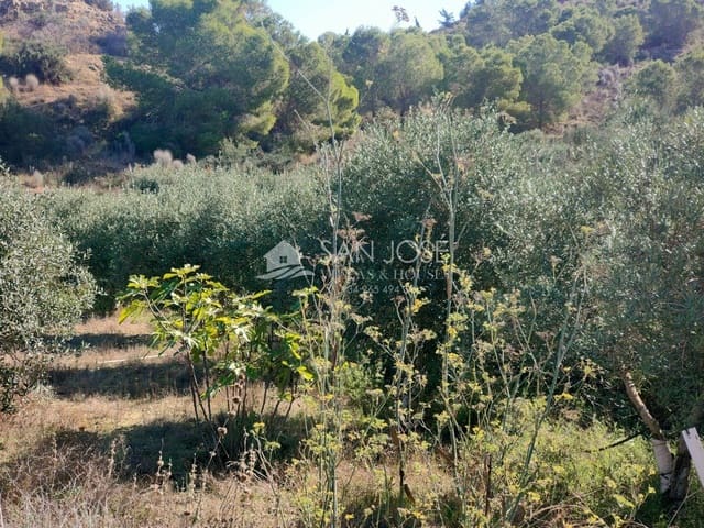 Mark till salu i Aspe - 33 630 € (Ref: 7174422)