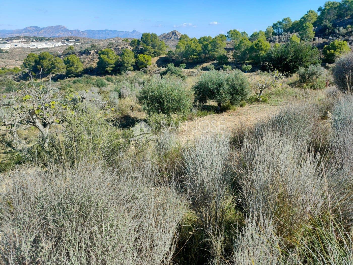 Grunde uden byggetilladelser til salg i Aspe - € 33.630 (Ref: 7174422)