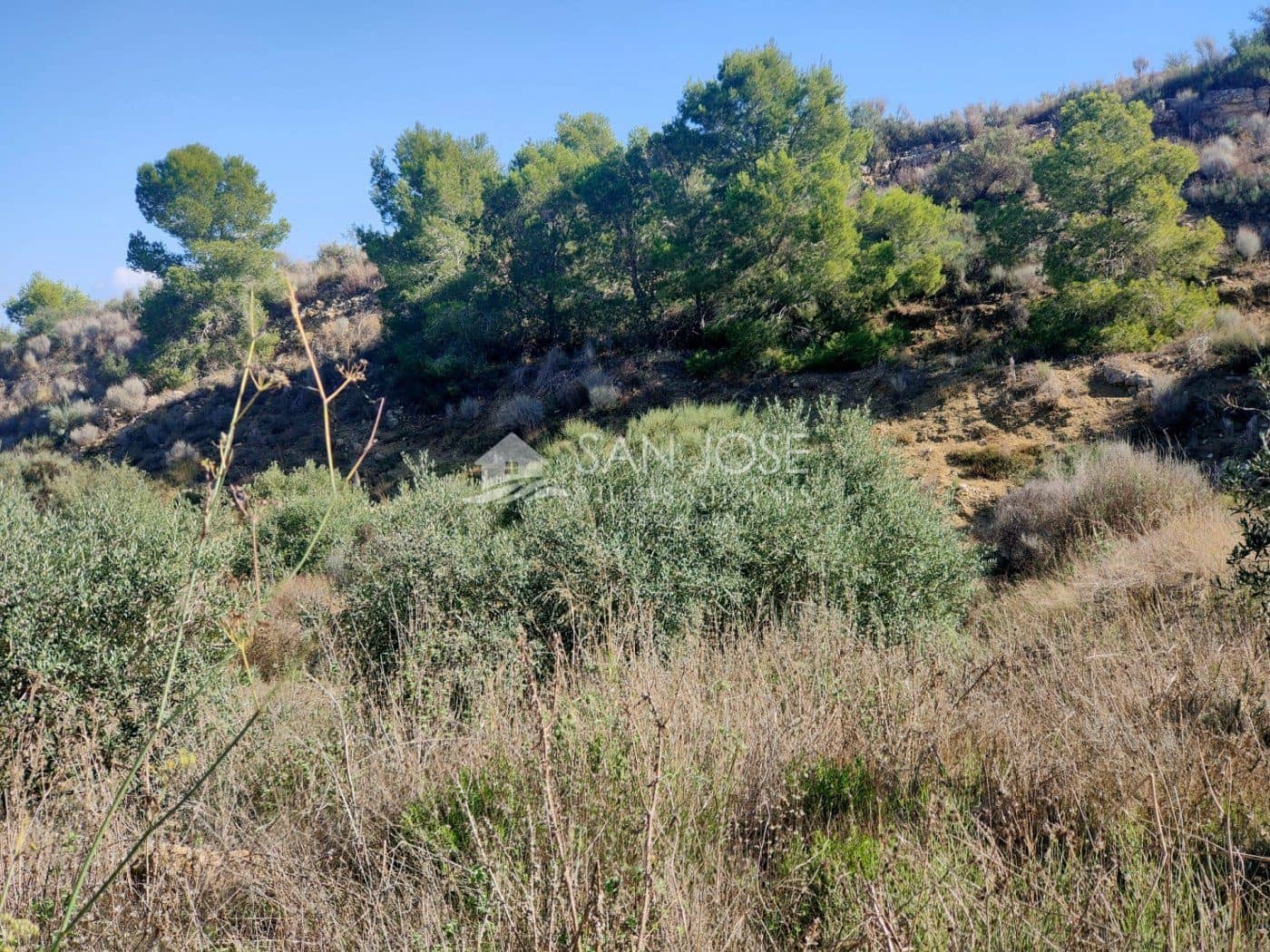 Grunde uden byggetilladelser til salg i Aspe - € 33.630 (Ref: 7174422)