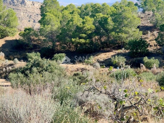 Mark till salu i Aspe - 33 630 € (Ref: 7174422)