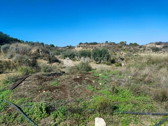 Mark till salu i Aspe - 33 630 € (Ref: 7174422)