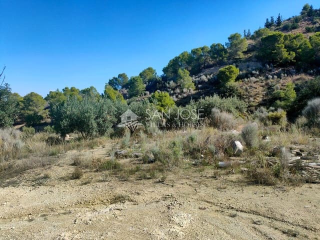 Mark till salu i Aspe - 33 630 € (Ref: 7174422)