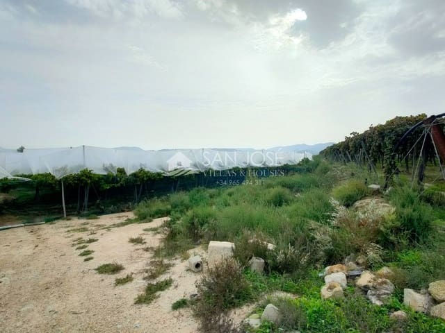 1 chambre Finca/Maison de Campagne à vendre à Aspe - 79 050 € (Ref: 7176499)