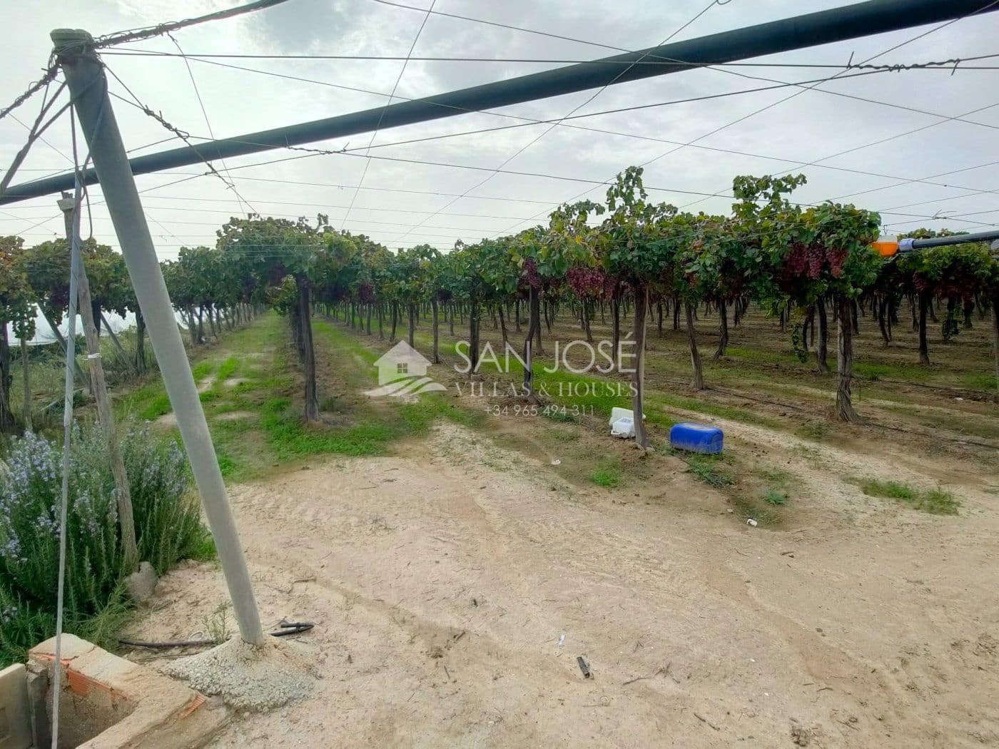 1 chambre Finca/Maison de Campagne à vendre à Aspe - 79 050 € (Ref: 7176499)