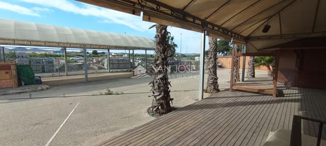 Business for sale in Benejúzar - € 320,000 (Ref: 7480165)