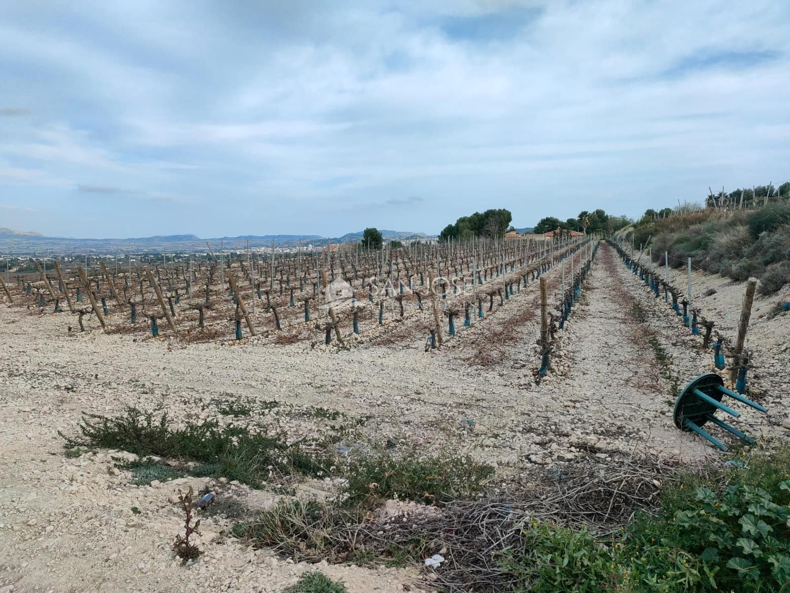 Building Plot for sale in Aspe - € 248,820 (Ref: 7505643)