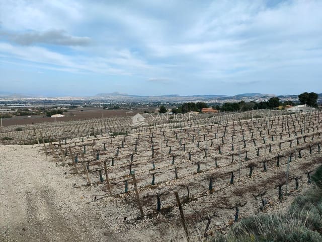 Tomt till salu i Aspe - 248 820 € (Ref: 7505643)