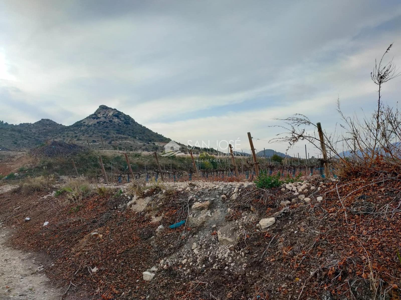 Building Plot for sale in Aspe - € 248,820 (Ref: 7505643)