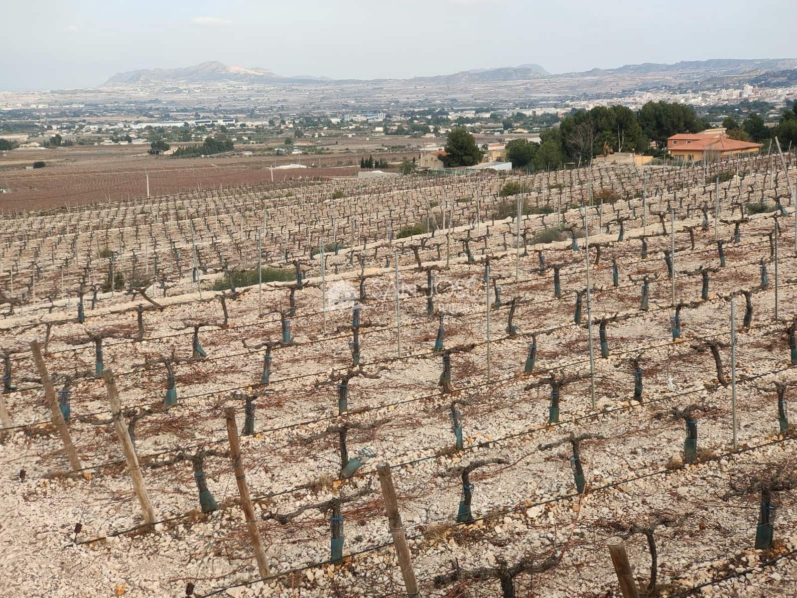 Building Plot for sale in Aspe - € 248,820 (Ref: 7505643)