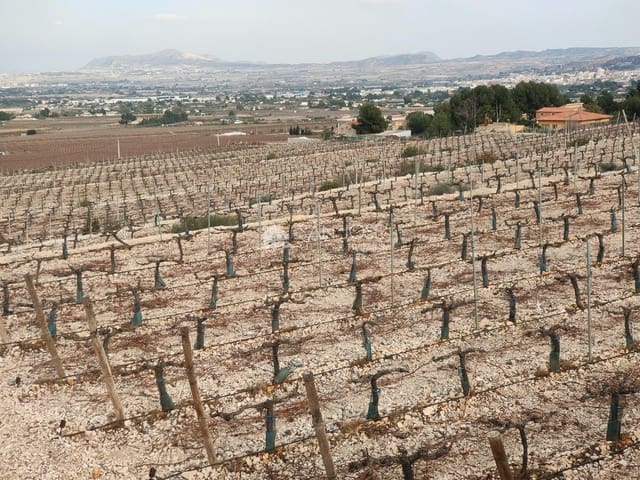 Tomt till salu i Aspe - 248 820 € (Ref: 7505643)