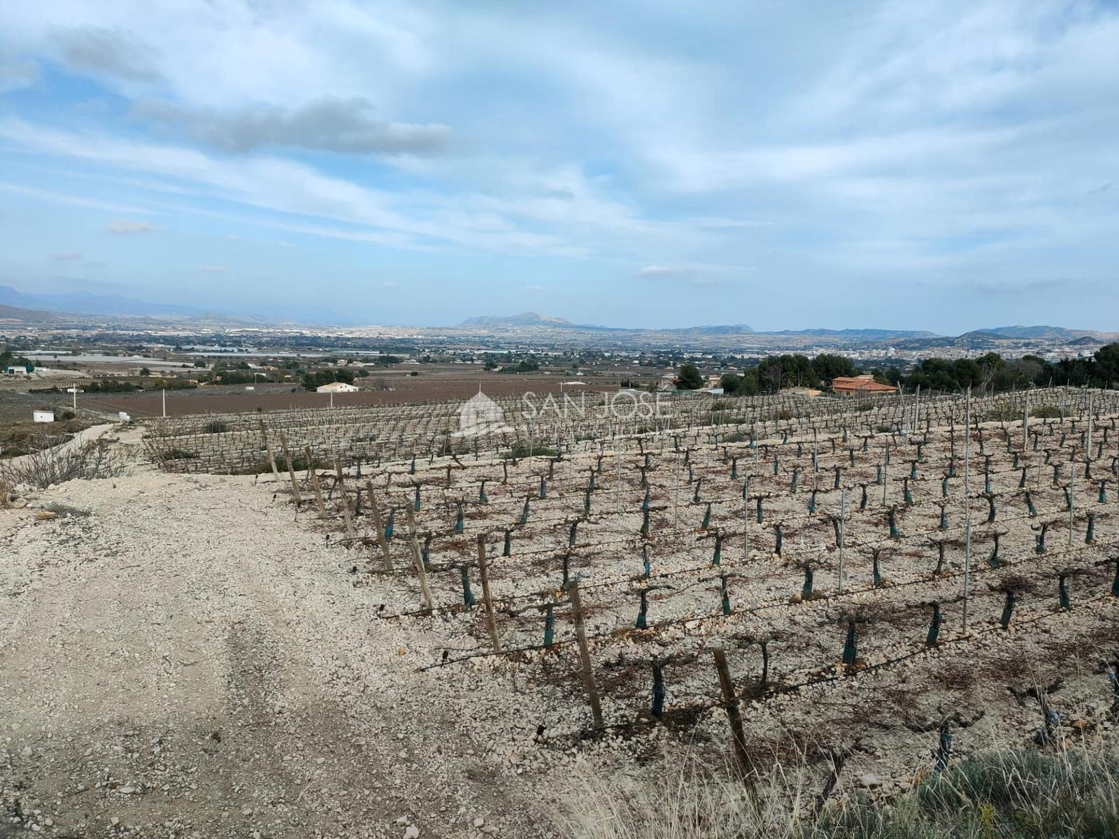 Building Plot for sale in Aspe - € 248,820 (Ref: 7505643)