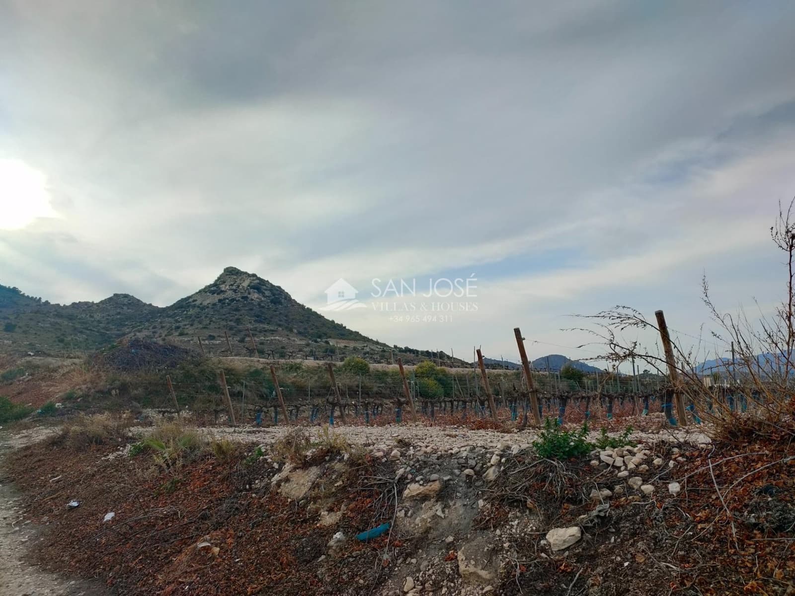 Building Plot for sale in Aspe - € 248,820 (Ref: 7505643)