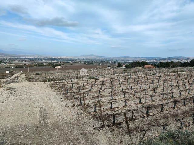 Tomt till salu i Aspe - 248 820 € (Ref: 7505643)