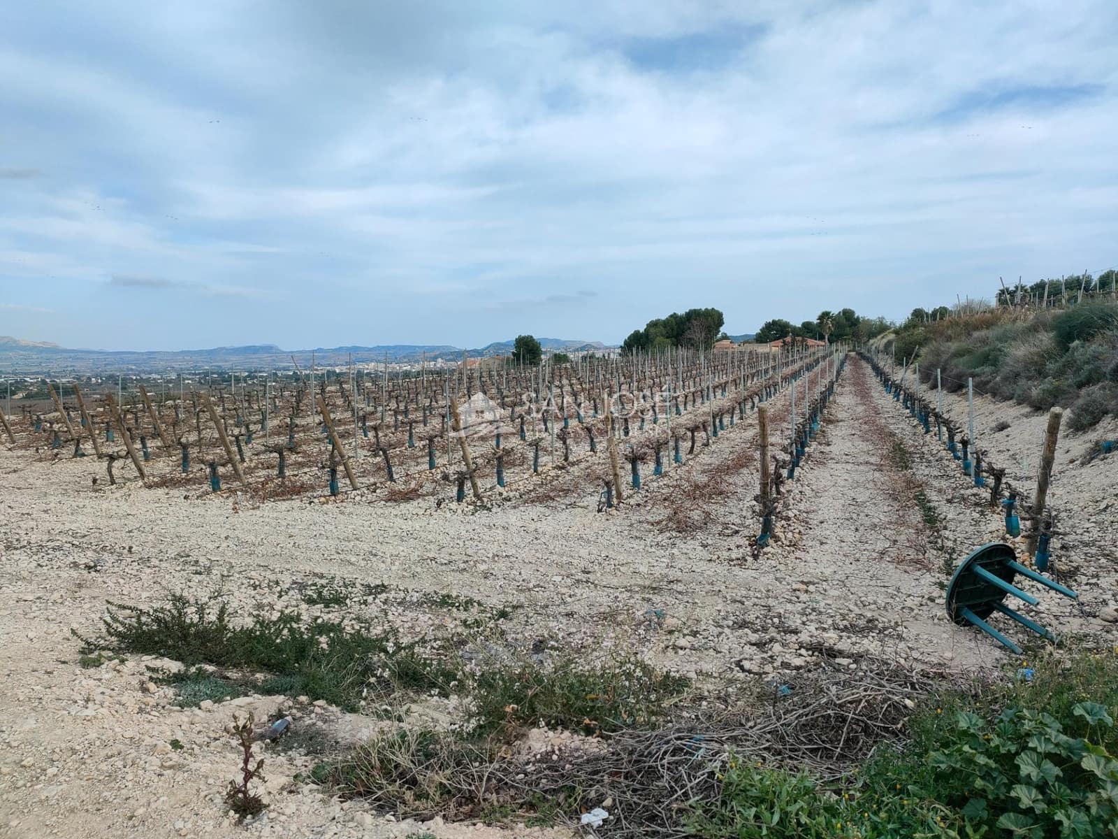 Building Plot for sale in Aspe - € 248,820 (Ref: 7505643)