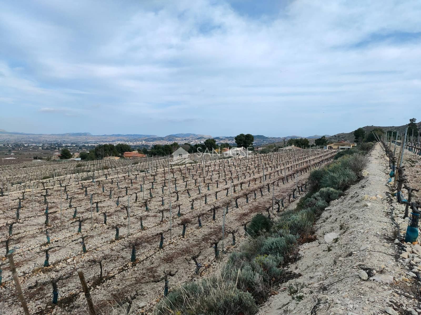 Building Plot for sale in Aspe - € 248,820 (Ref: 7505643)