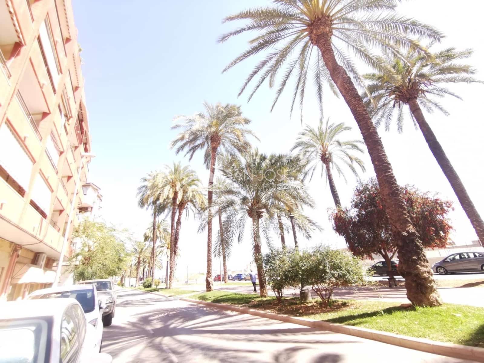 Erhverv til leje i Orihuela - € 900 (Ref: 7505645)