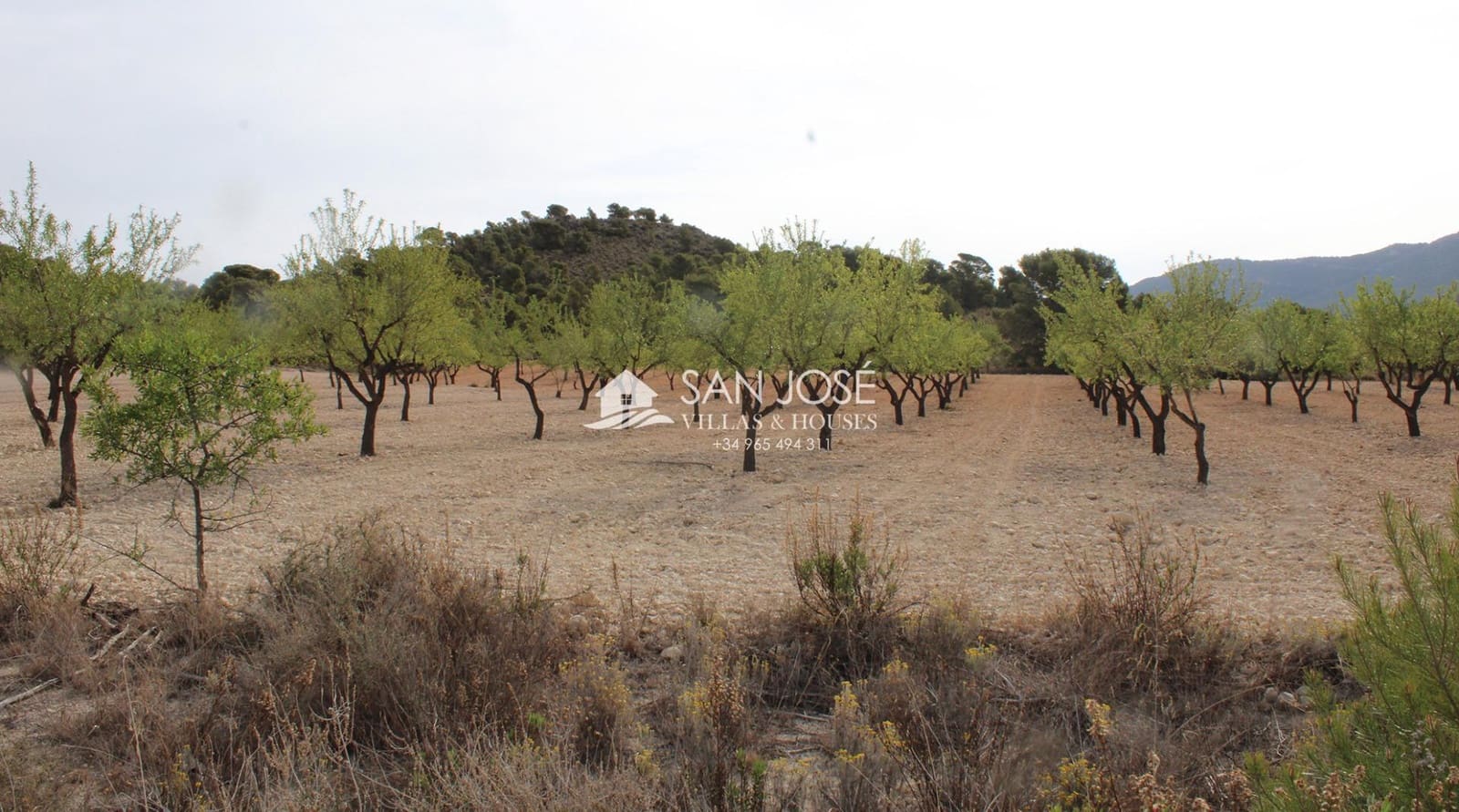 Undeveloped Land for sale in Sax - € 50,500 (Ref: 7533321)