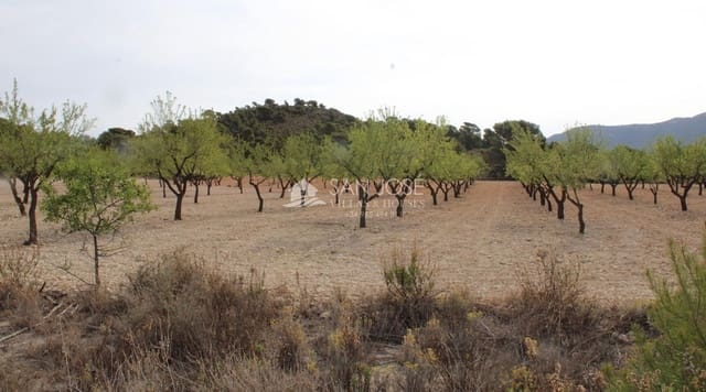 Landgrundstück zu verkaufen in Sax - 50.500 € (Ref: 7533321)