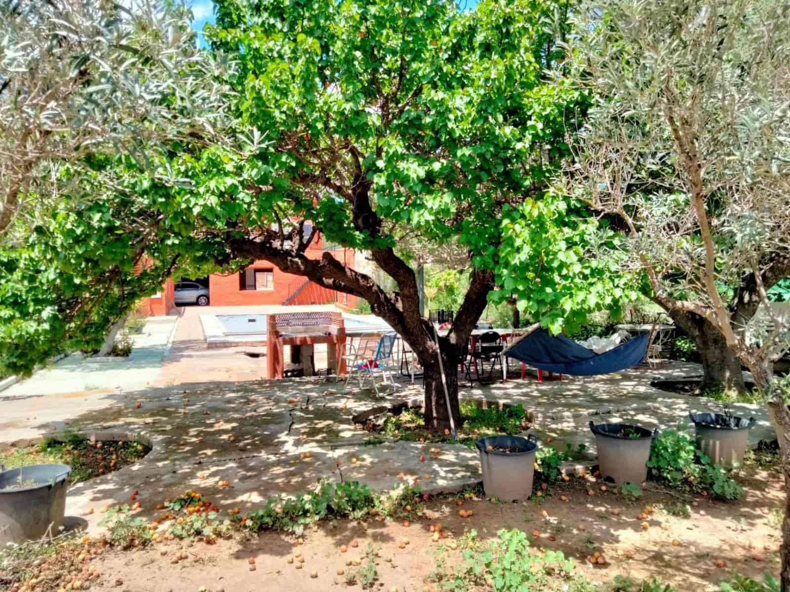 5 soveværelse Villa til salg i Hondon de los Frailes med swimmingpool - € 243.000 (Ref: 7641013)