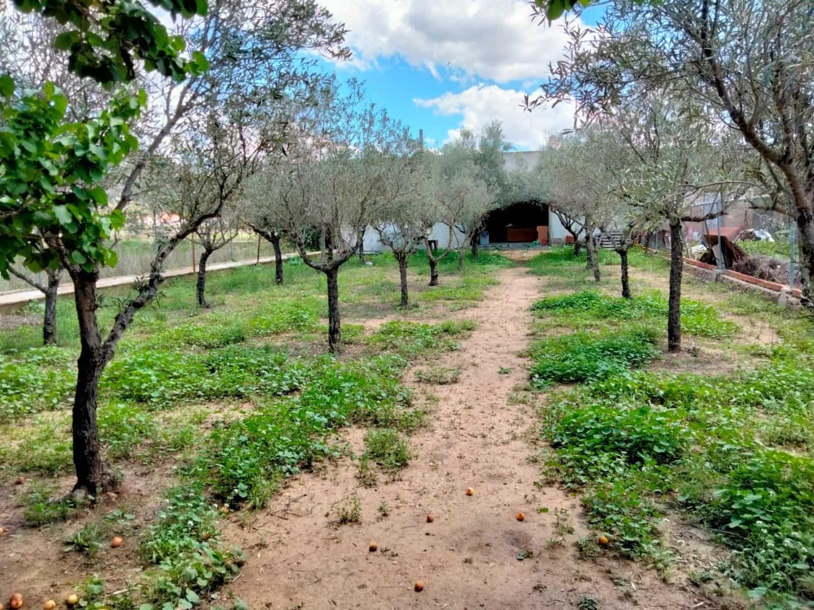 5 soveværelse Villa til salg i Hondon de los Frailes med swimmingpool - € 243.000 (Ref: 7641013)