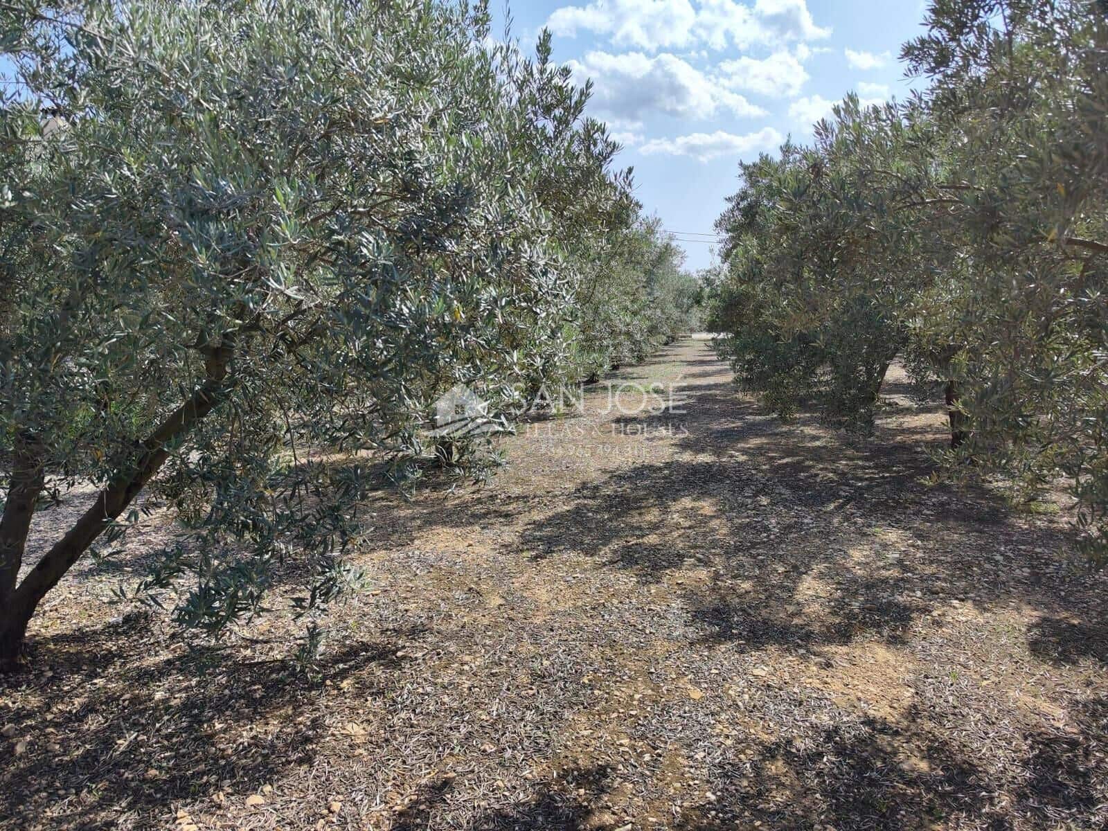 6 soveværelse Villa til salg i Hondon de los Frailes med swimmingpool garage - € 336.000 (Ref: 7662309)