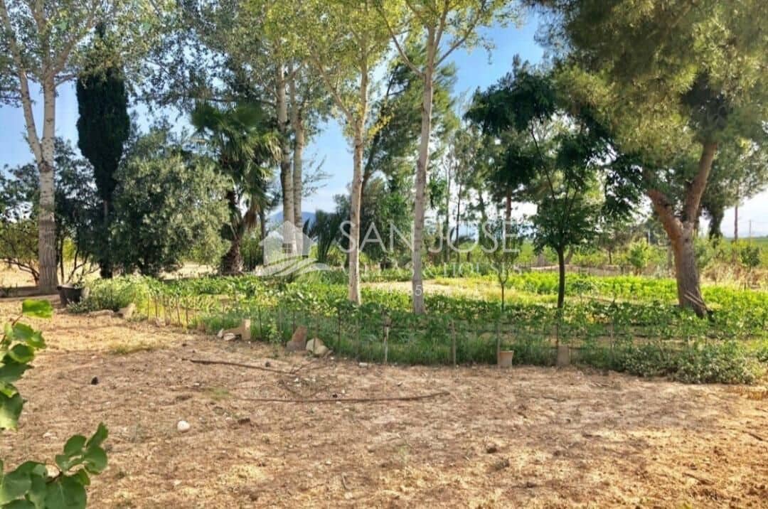 3 slaapkamer Finca/Landhuis te koop in Crevillente / Crevillent met zwembad garage - € 310.000 (Ref: 7780903)