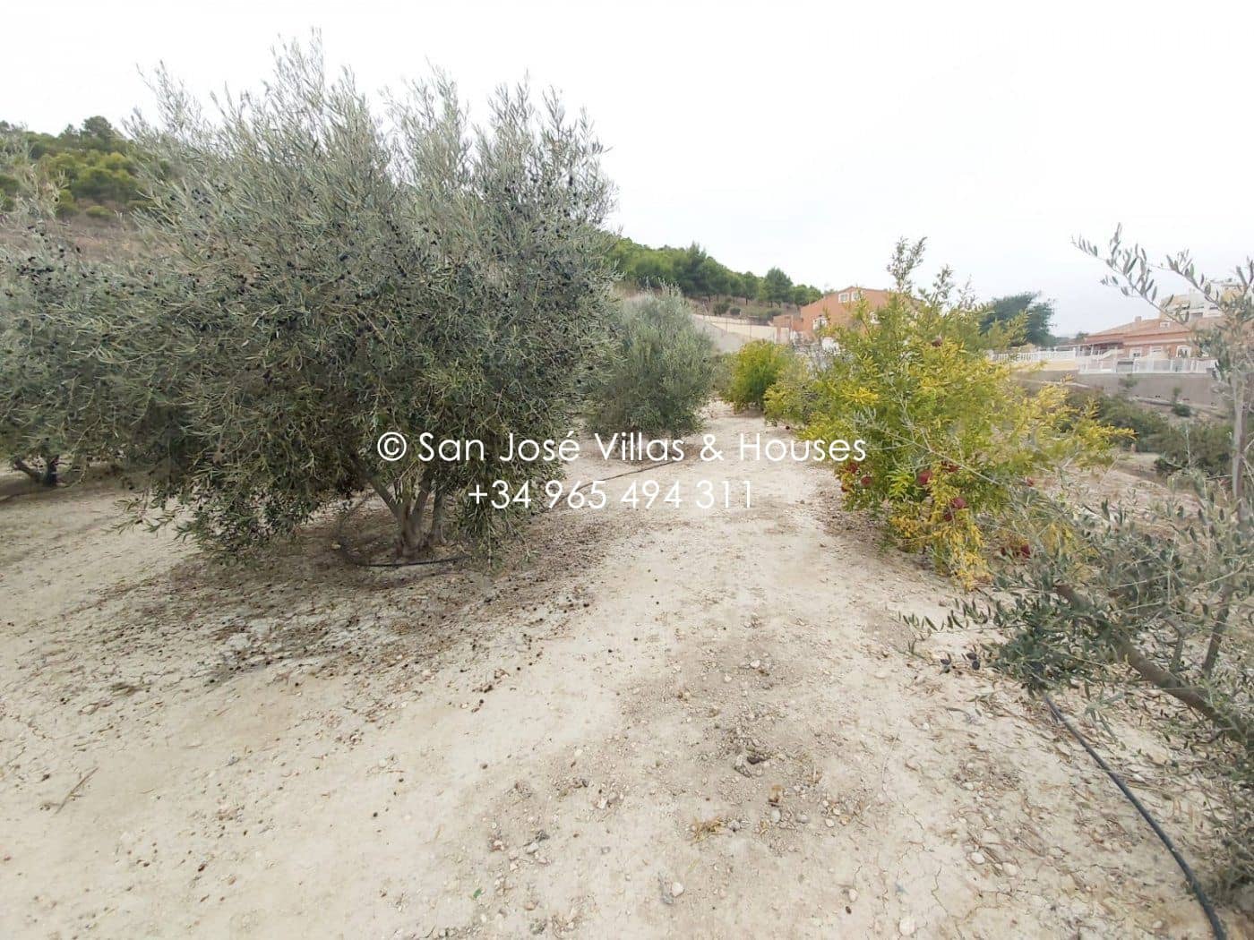 1 quarto Moradia para venda em Aspe - 120 050 € (Ref: 7857780)