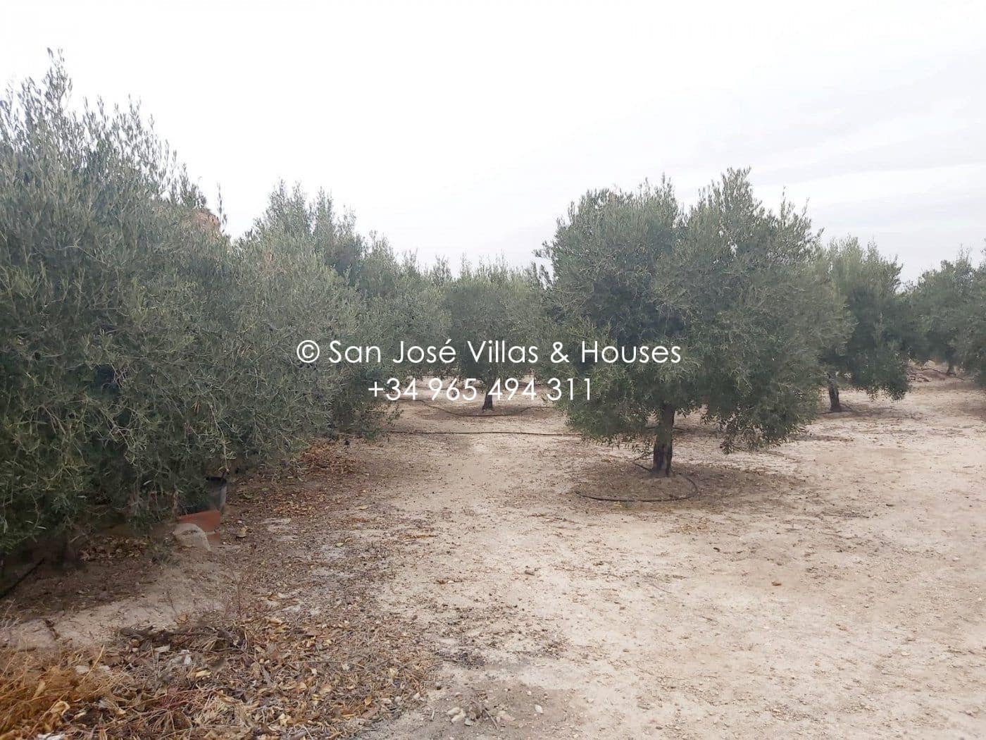 1 quarto Moradia para venda em Aspe - 120 050 € (Ref: 7857780)