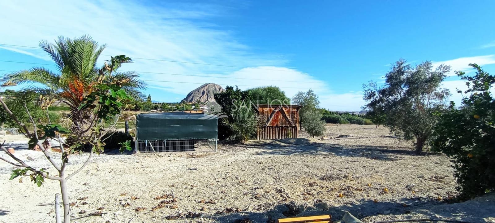 5 soveværelse Villa til salg i Elche / Elx - € 525.000 (Ref: 7880598)