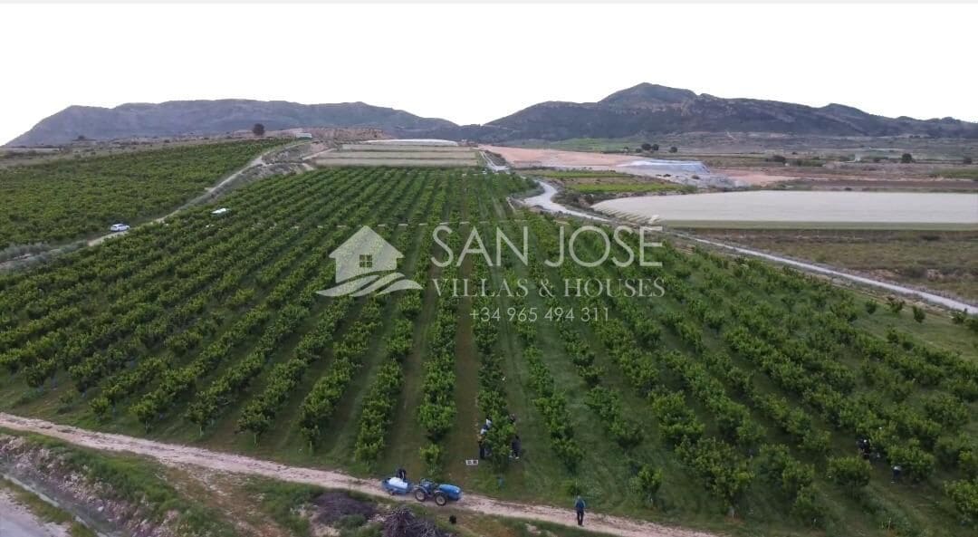 Tomt till salu i Monforte del Cid - 530 000 € (Ref: 7883743)