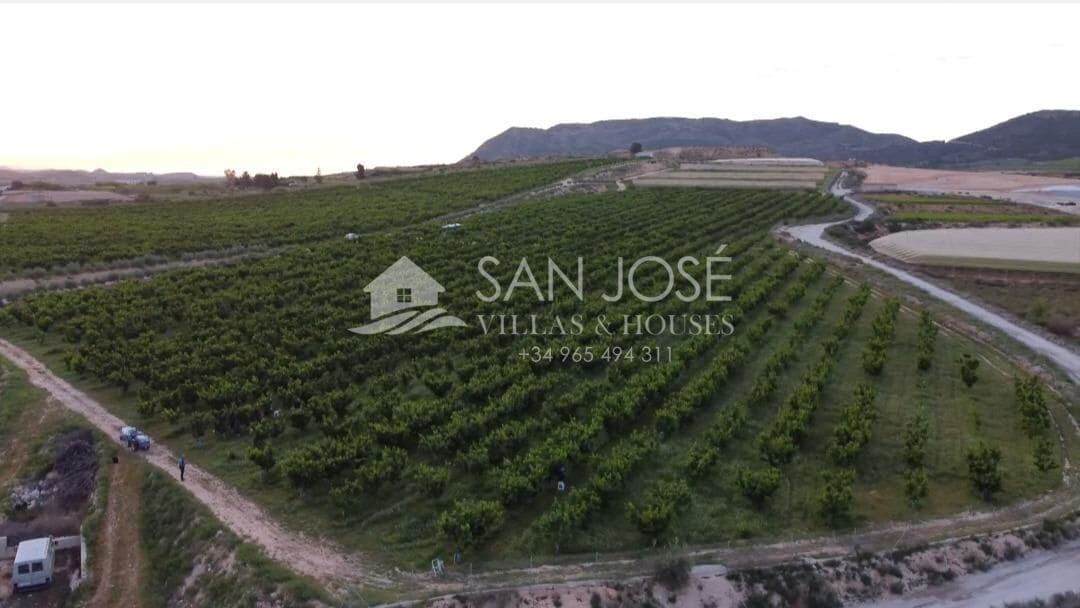 Tomt till salu i Monforte del Cid - 530 000 € (Ref: 7883743)