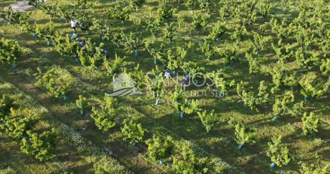 Tomt till salu i Monforte del Cid - 530 000 € (Ref: 7883743)