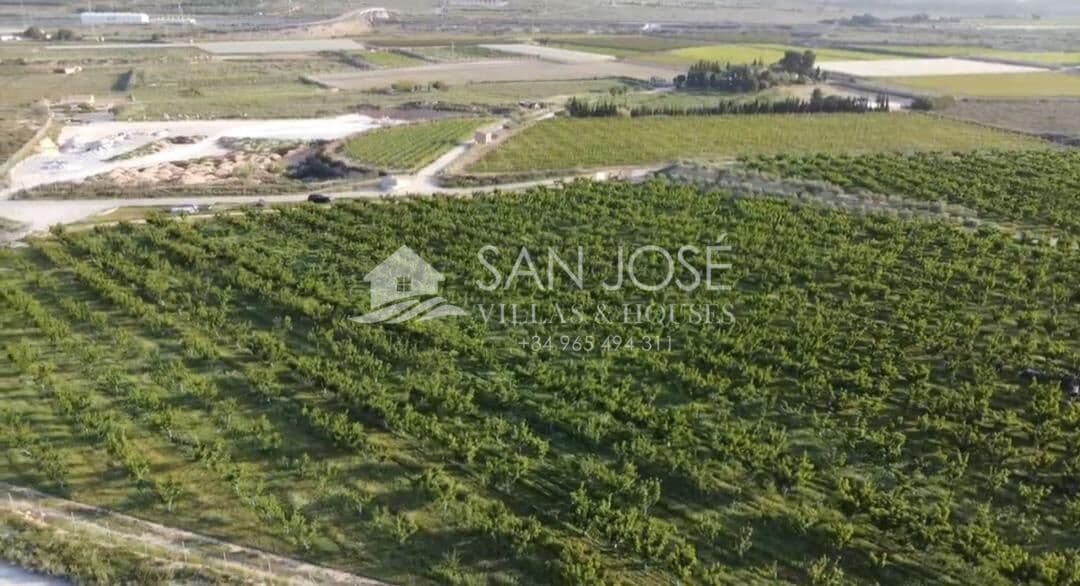 Tomt till salu i Monforte del Cid - 530 000 € (Ref: 7883743)