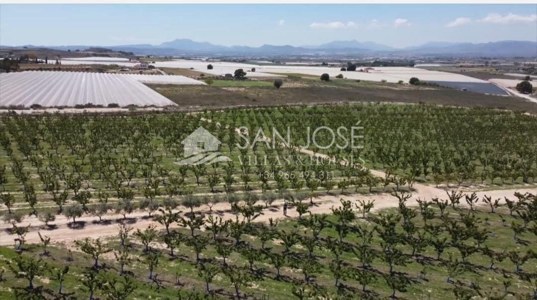 Tomt till salu i Monforte del Cid - 530 000 € (Ref: 7883743)