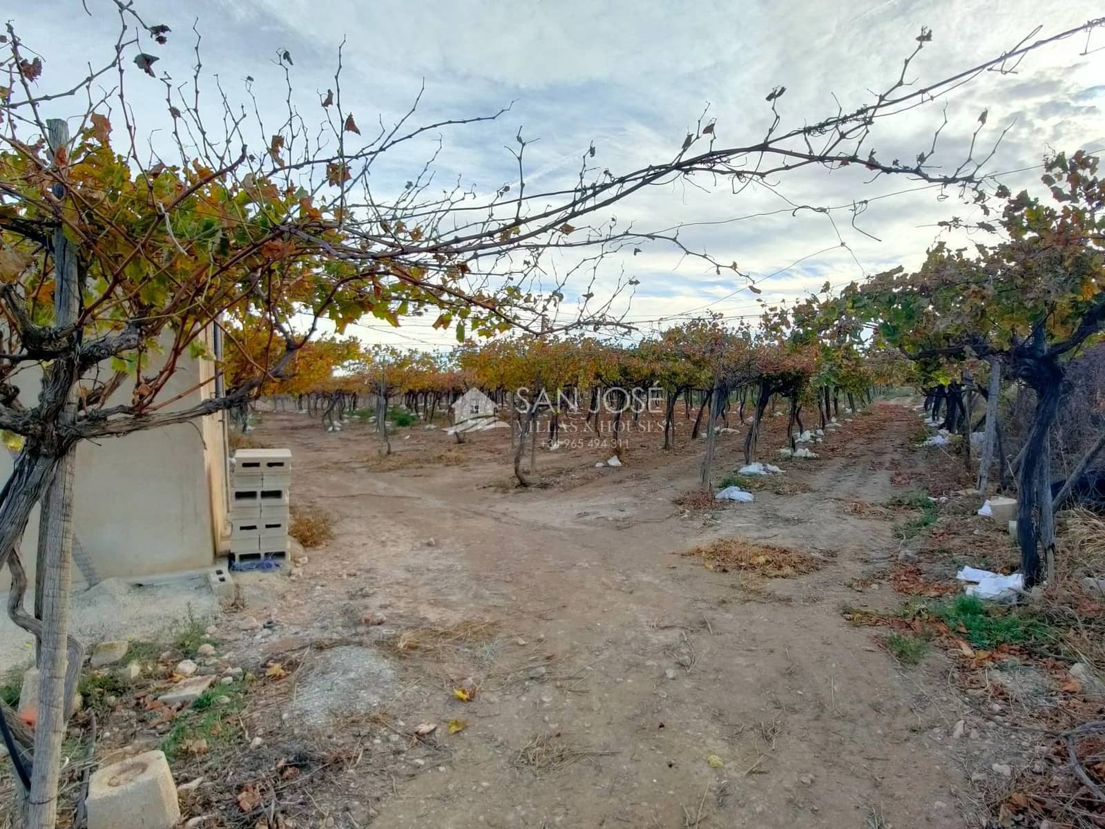 Grond te koop in Aspe - € 66.050 (Ref: 7997026)