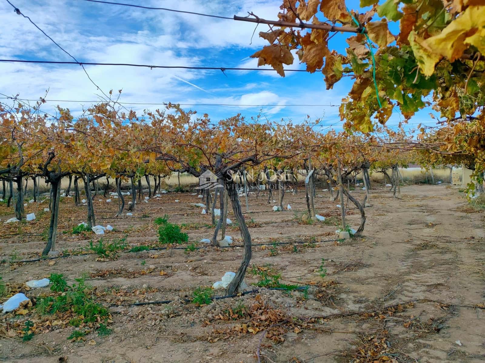 Grond te koop in Aspe - € 66.050 (Ref: 7997026)