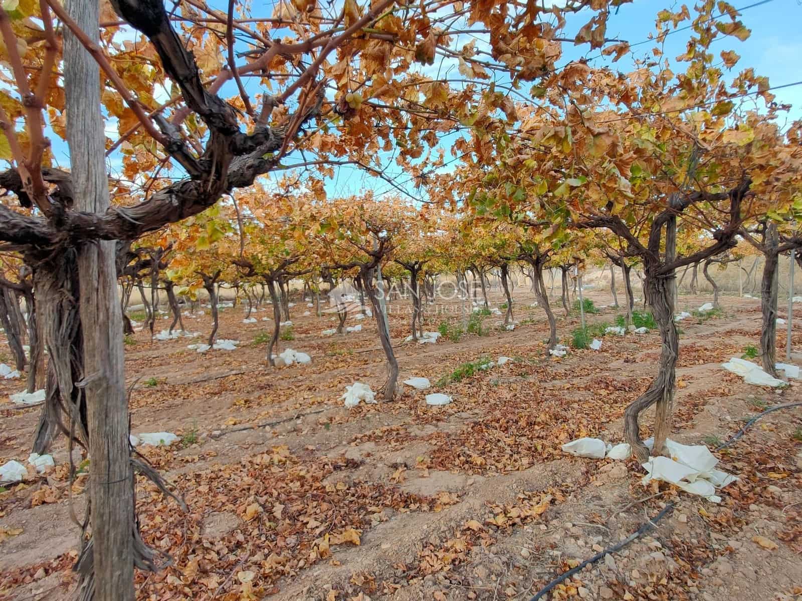 Grond te koop in Aspe - € 66.050 (Ref: 7997026)