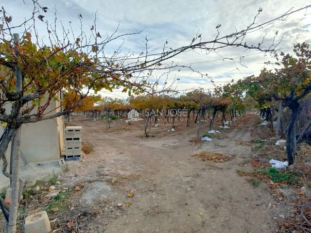 Mark till salu i Aspe - 66 050 € (Ref: 7997026)