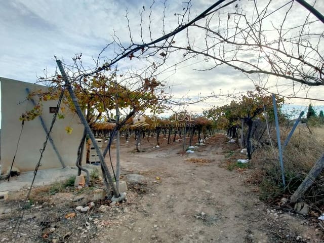 Mark till salu i Aspe - 66 050 € (Ref: 7997026)