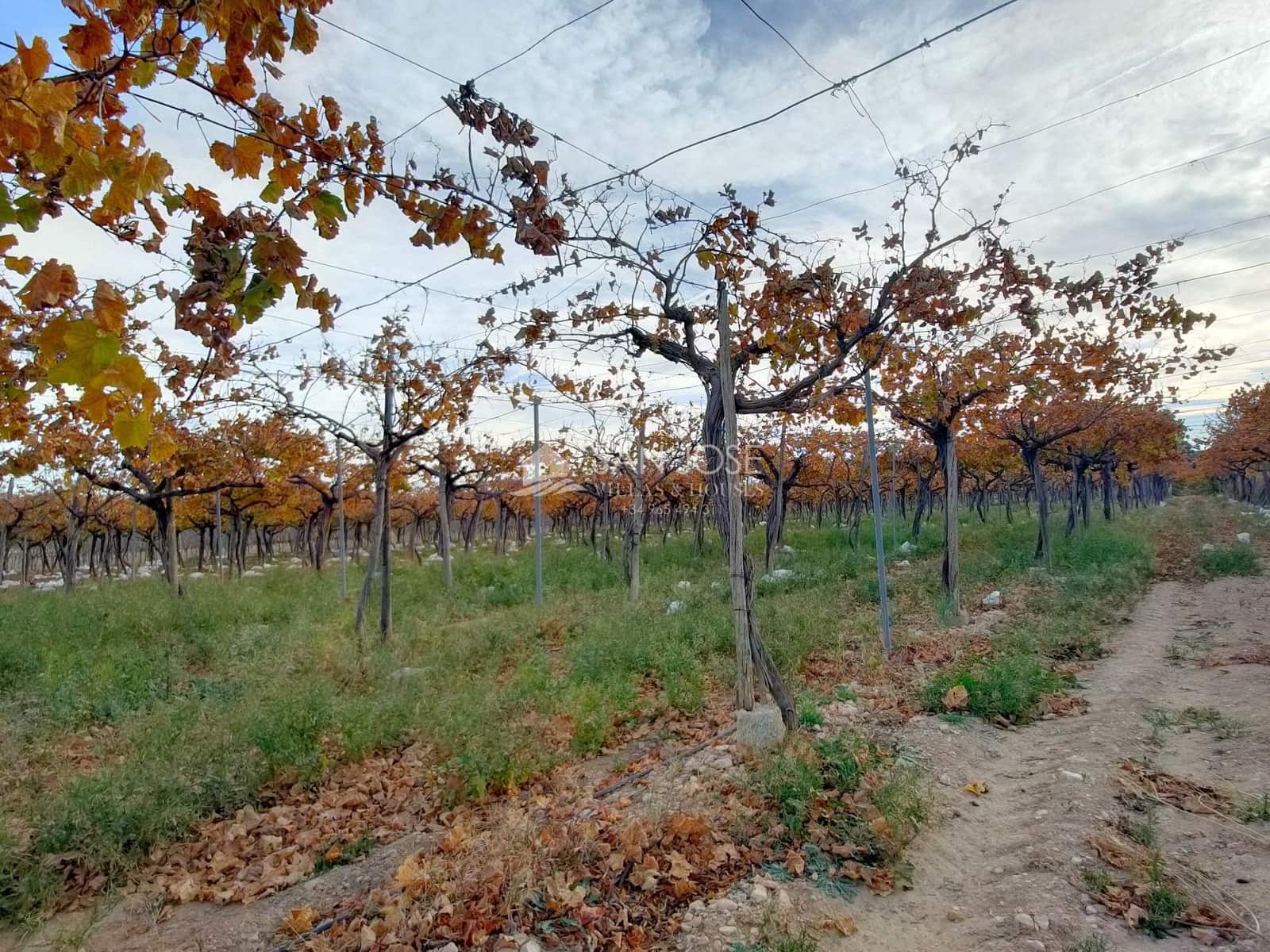 Grond te koop in Aspe - € 66.050 (Ref: 7997026)