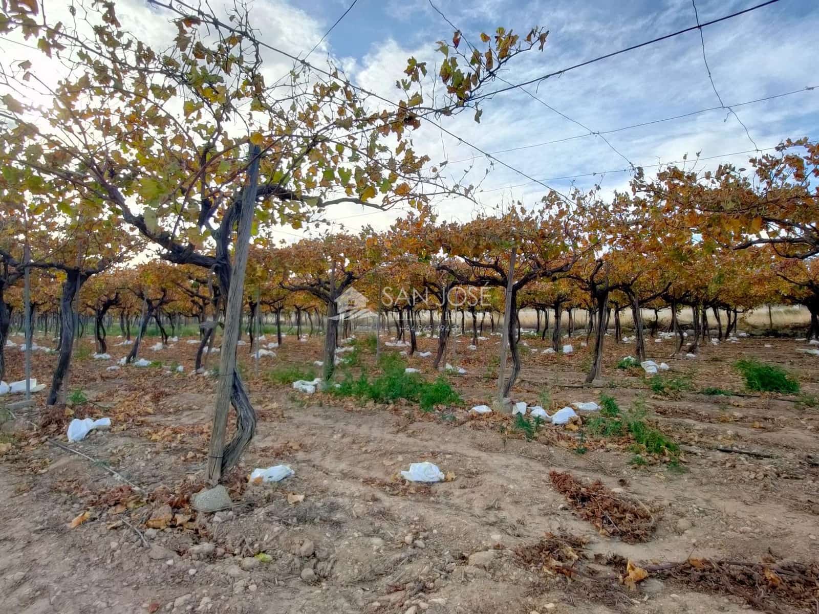 Grond te koop in Aspe - € 66.050 (Ref: 7997026)