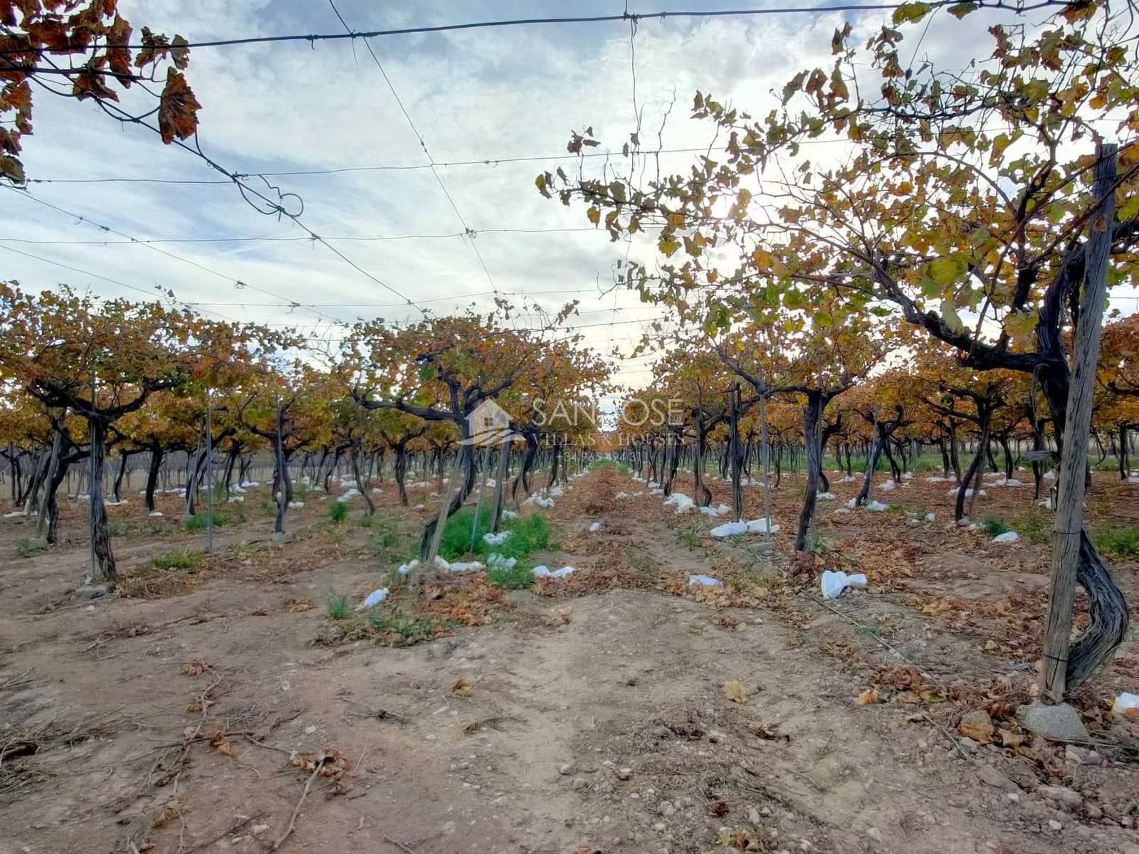 Grond te koop in Aspe - € 66.050 (Ref: 7997026)